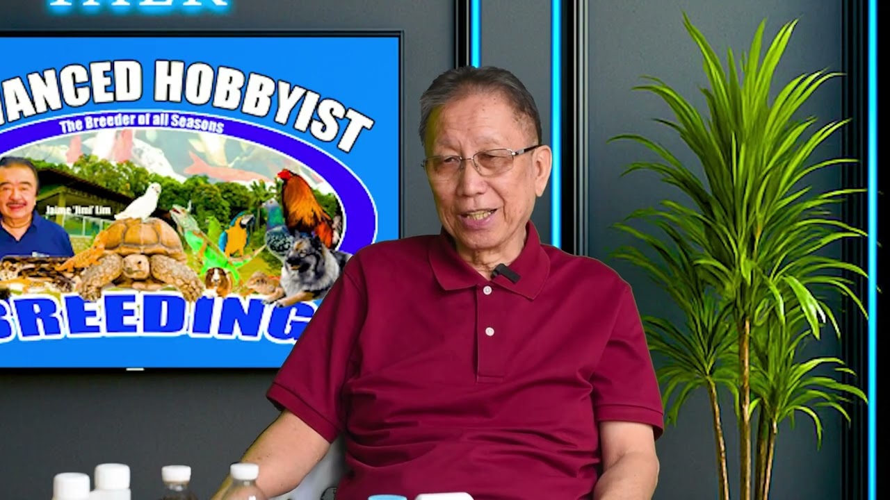 MGA PARAAN PARA MALAMAN ANG MGA SAKIT NG MGA IBON AYON SA NAG IISANG PROFESSOR X - HENRY TAN
