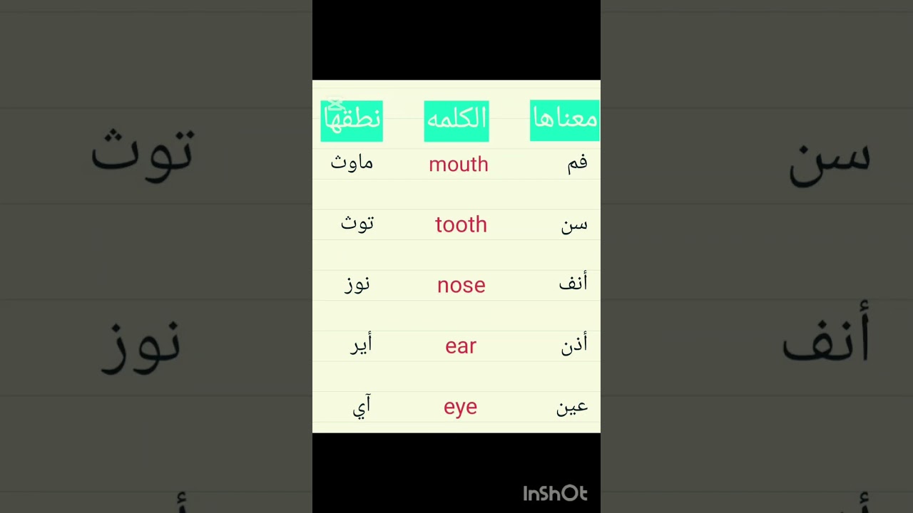 Basic arabic words translate to English أعضاء الجسمBody Parts