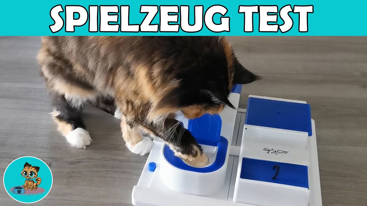 Katzenspielzeug im Test! ✅
