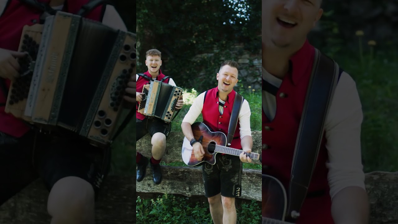 👆👆 Kennst du das neue Video von LIGIST 3 schon? #volksmusik #steiermark #harmonika #heimatliebe