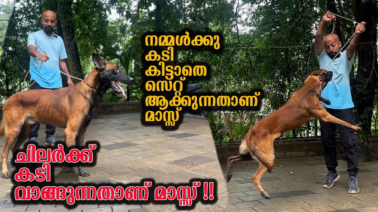 Psycho Mali ചെക്കൻ || Leonardo Voila