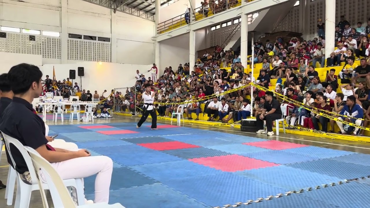 Lansil Brotarlo Freestyle Poomsae 2025 Regional Interschool Taekwondo Championships 