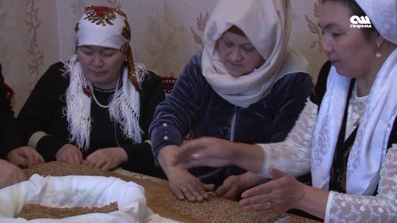 Сүмөлөккө буудай өндүрүү кандай болот? #ОшПирим