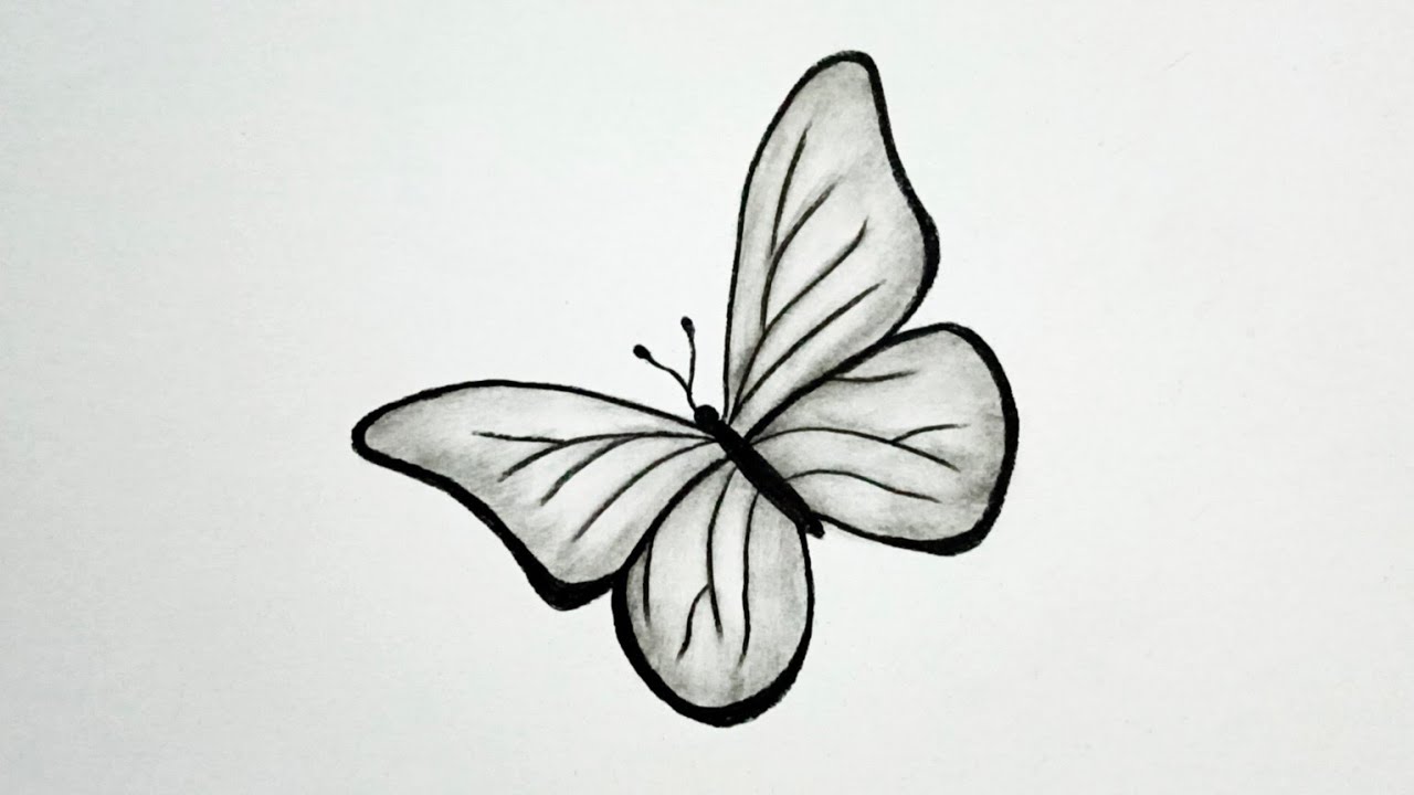 How to draw beautiful butterfly | Pencil sketch for beginners || Charcoal drawing