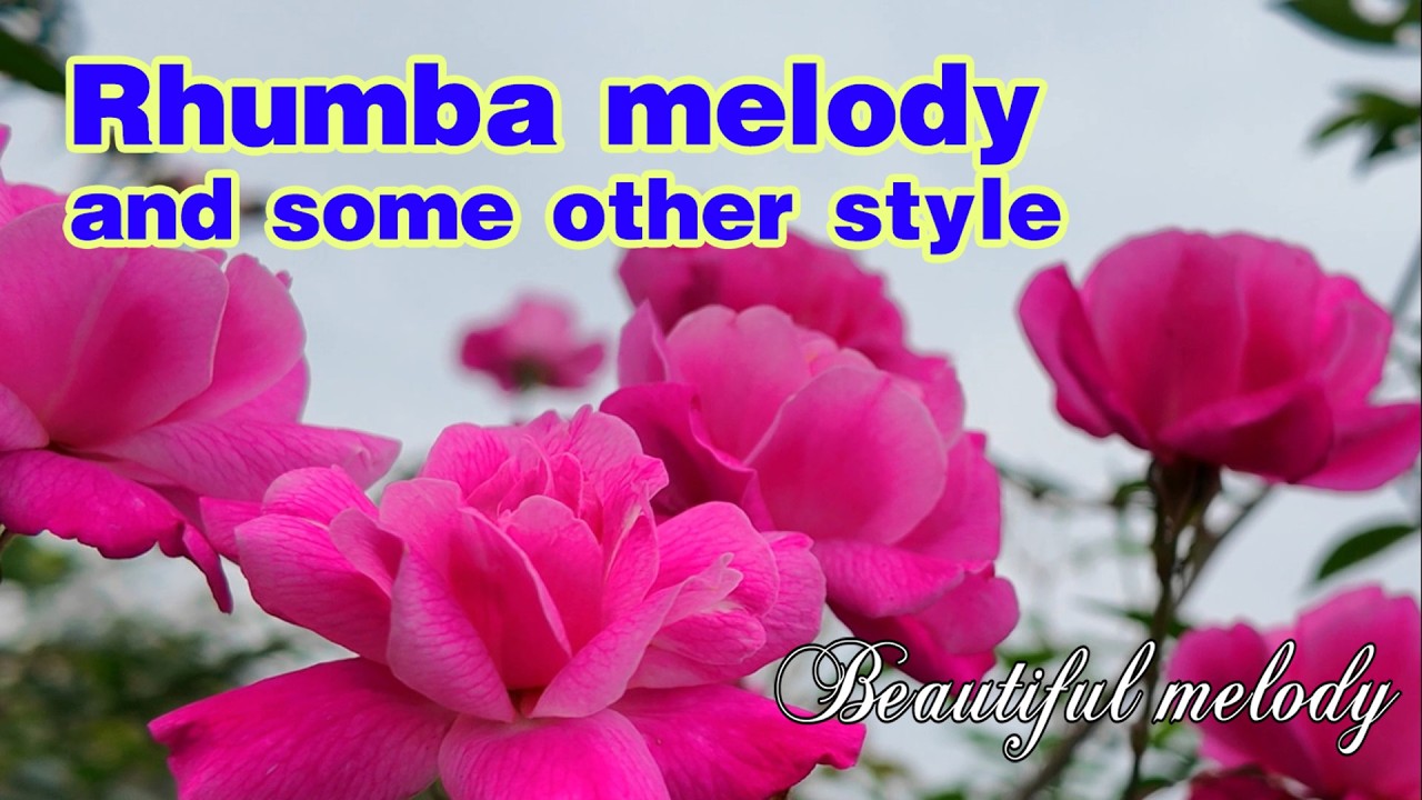Rhumba and some other styles, Peaceful and romantic spring melodies, Vgreen music -February 18, 2026
