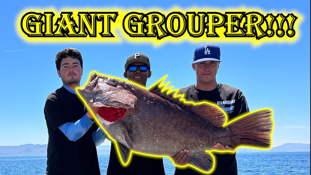 Fishing Bahía de los Ángeles Part 1 (Giant Grouper)