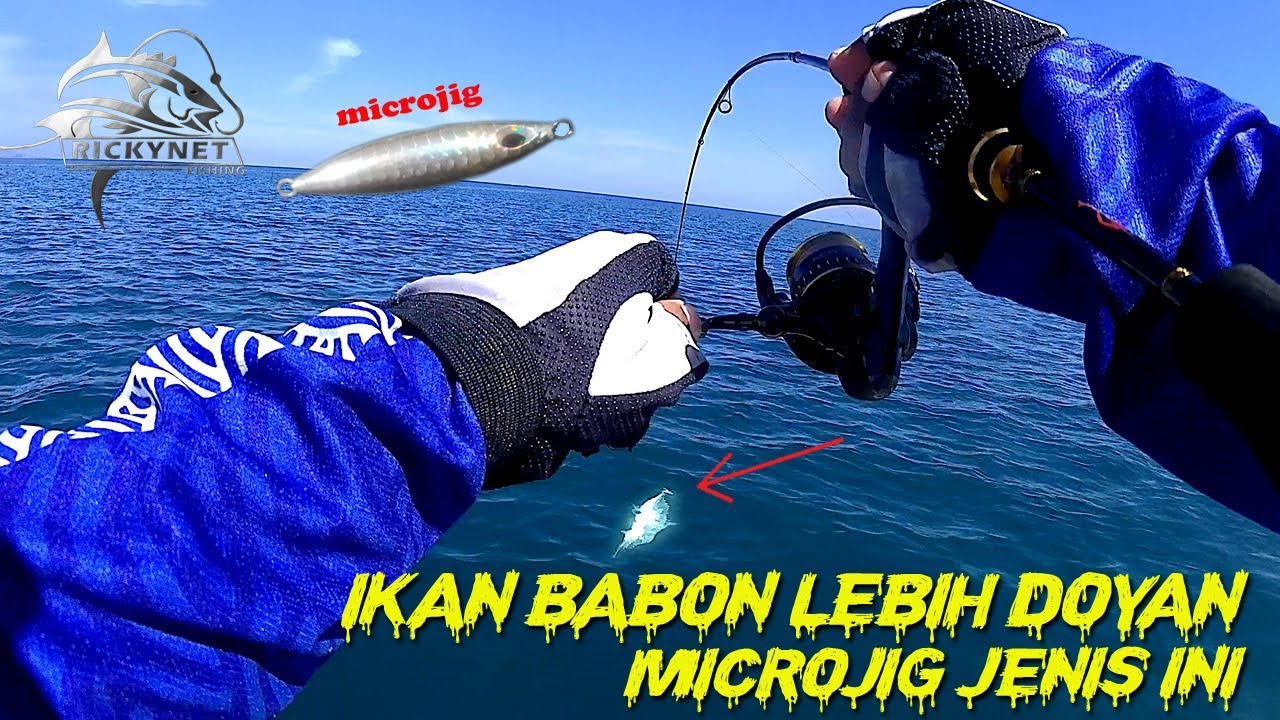 TERNYATA .... IKAN BABON LEBIH DOYAN MICRO JIG JENIS INI SAMPEK DISAMBAR BERTUBI-TUBI | ULTRALIGHT