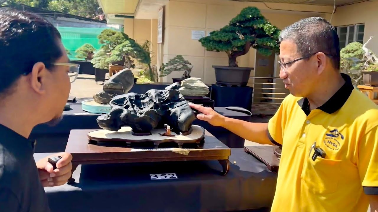 Suiseki Master ng Malasia, Tuturoan tayo ng Suiseki Art Appreciation!