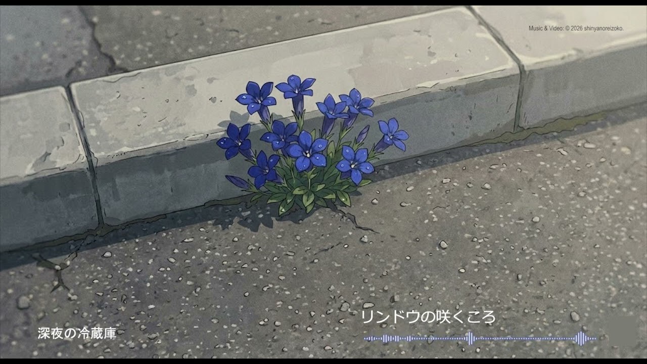深夜の冷蔵庫 - リンドウの咲くころ   /  When gentians bloom