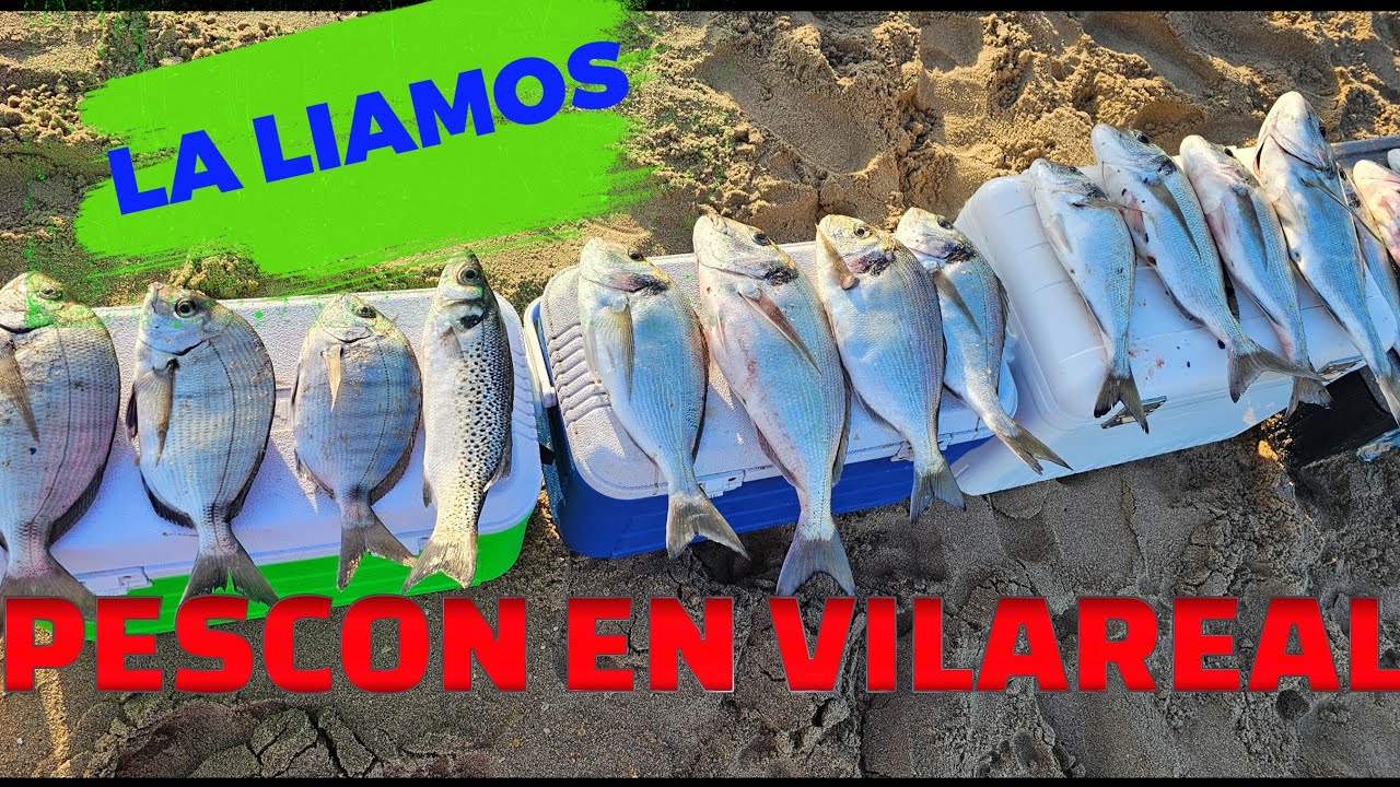 PESCA SURFCASTING PESCO EN VILAREAL DE SANTO ANTONIO DORADAS SARGOS BAILAS
