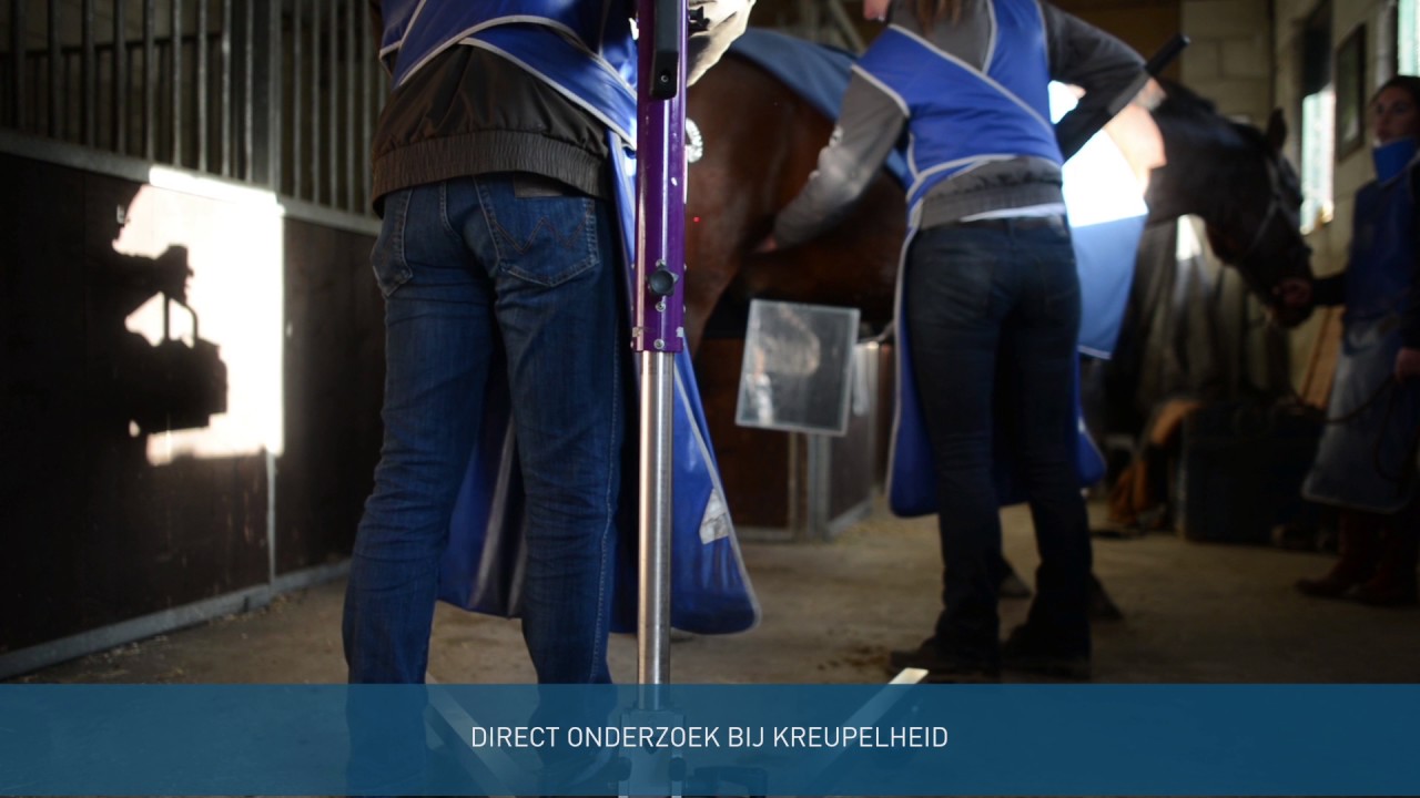 Röntgenfoto's bij paarden (mobiele röntgen)