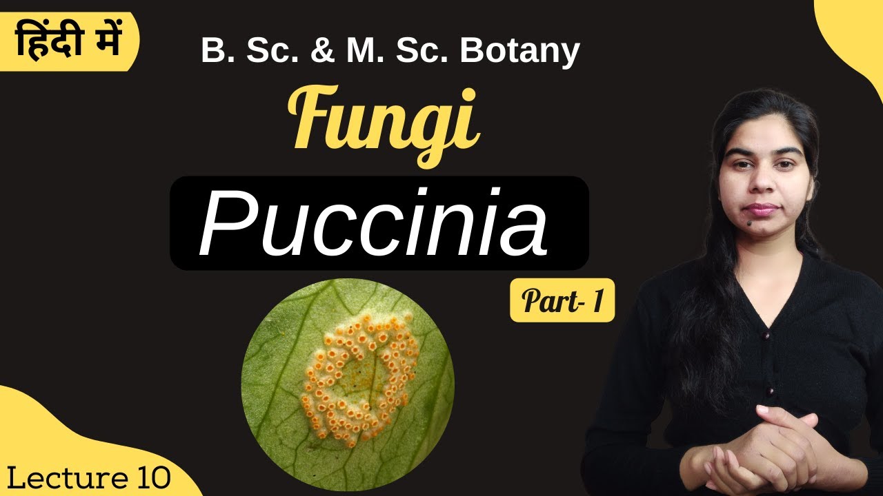 Fungi || Puccinia (Part-1) || in Hindi || Botany || B. Sc. & M. Sc.
