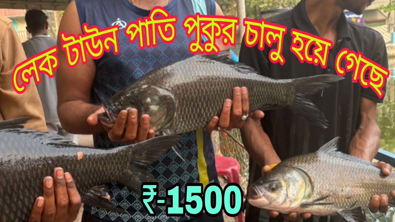 Lake Town fishing 🎣 hook fishing 🎣 viral# like//share//comment//subscribe 