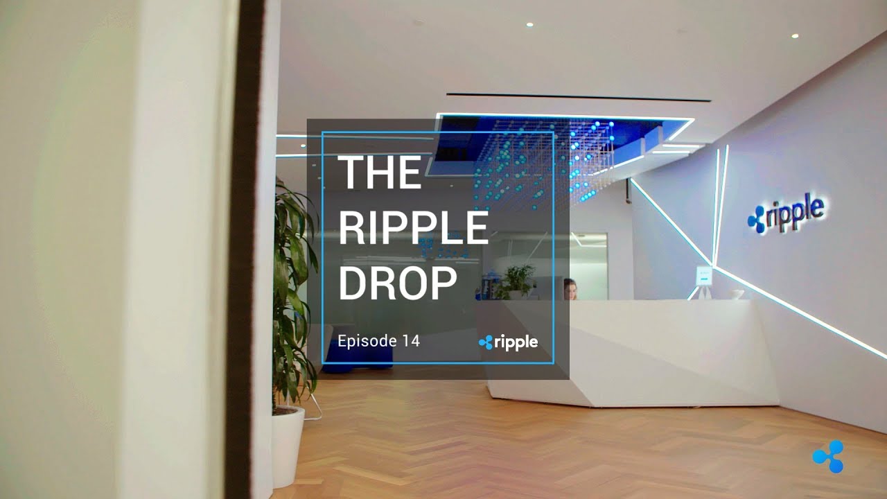 The Ripple Drop - Episode 14