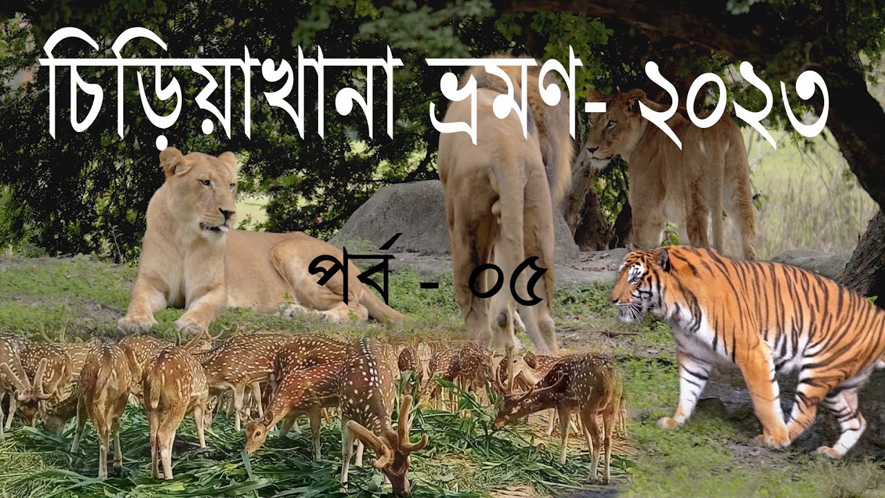 বাংলাদেশ জাতীয় চিড়িয়াখানা মিরপুর। Bangladesh national zoo। Tiger। Lion। Deer।। Asha Traveling