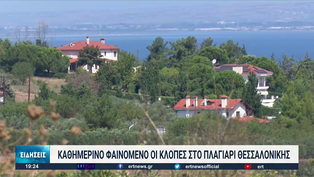 Πλαγιάρι Θεσσαλονίκης: Καθημερινό φαινόμενο οι κλοπές στην περιοχή | 08/08/2022 | ΕΡΤ