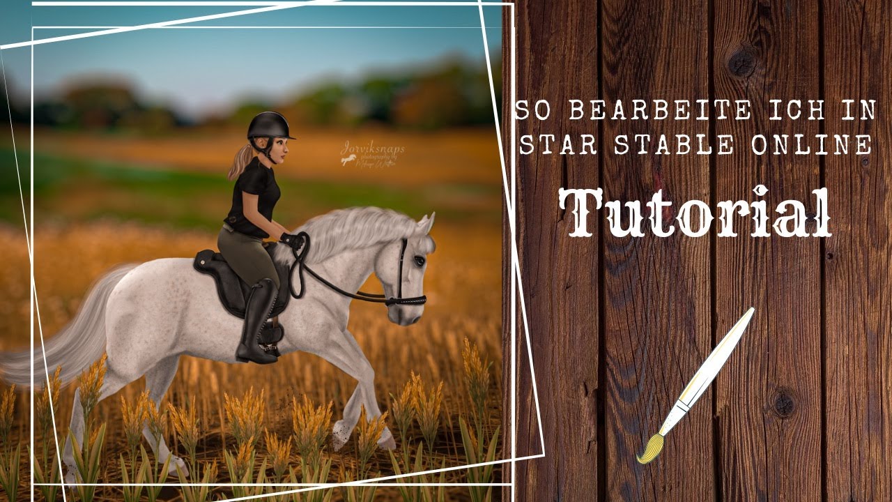 Wie ich meine SSO Bilder editiere | Tutorial🤎🌾