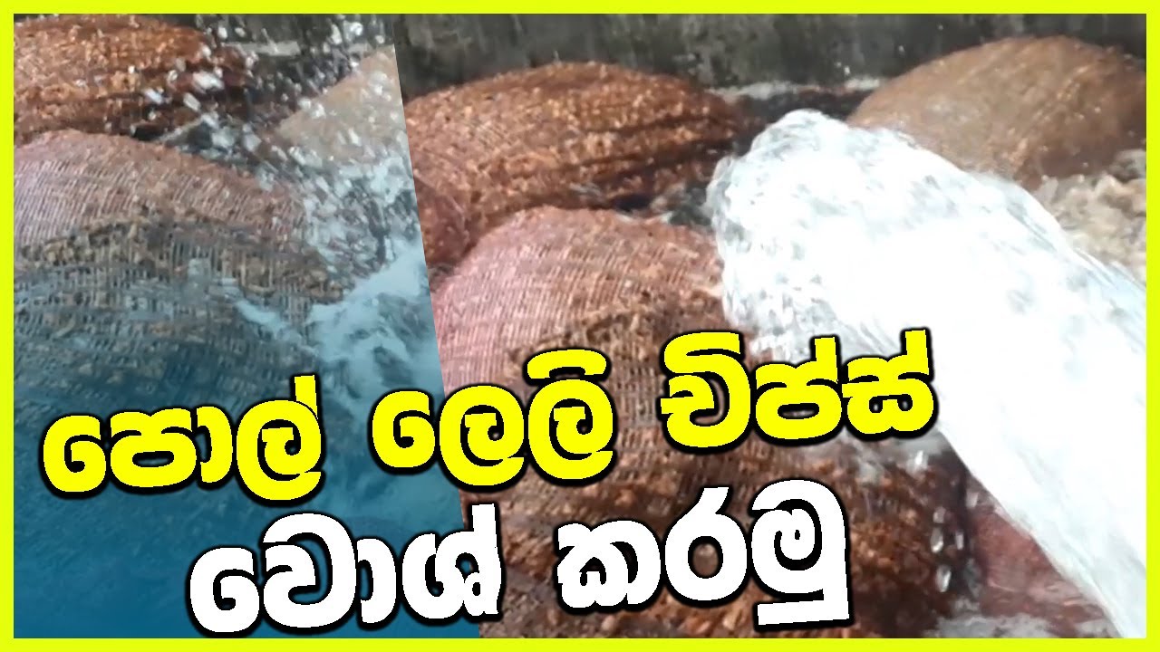පොල්ලෙලි කැබලි වොශ් කිරීම
pol leli karmanthaya chips wosh
