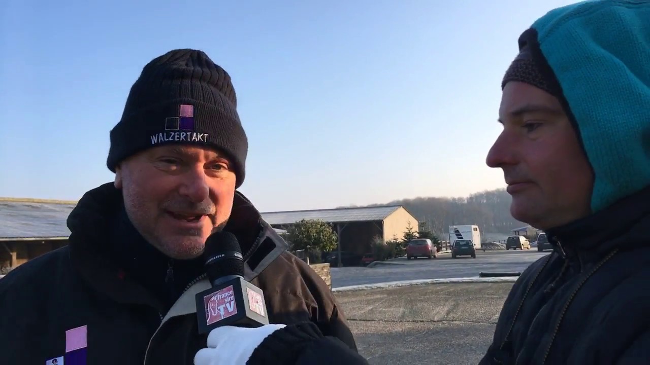 Haras de la Hêtraie - Walzertakt et Bathyrhon - Route des Etalons 2017