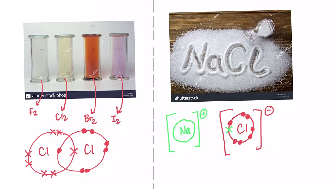How to tell the difference between halogens and halides