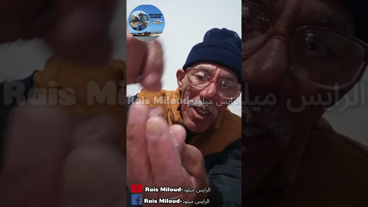 شرح مونطاج لصيد سمك البوري بالخبز من الالف الى الياء مع الرايس ميلود🌊🎣