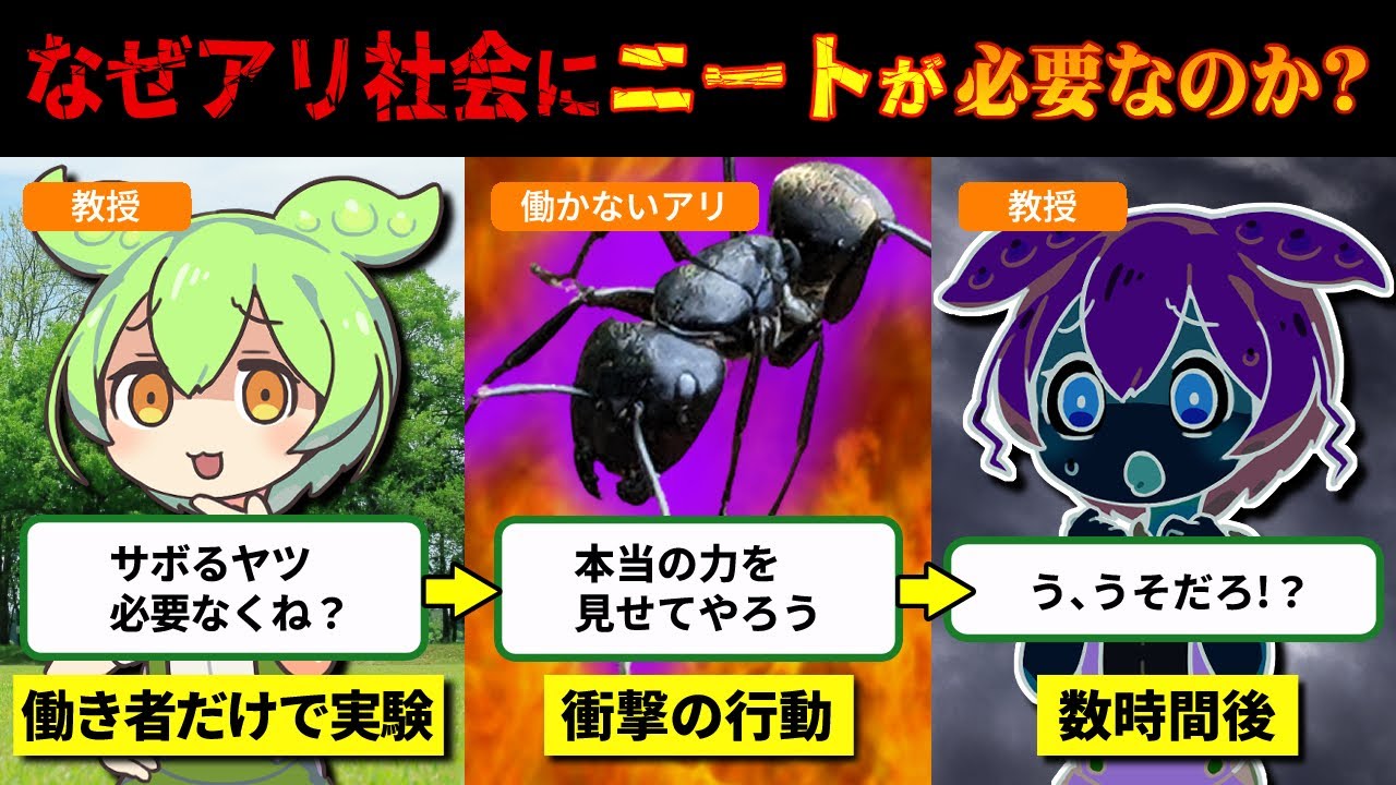 【生物実験】絶対に働くな!!アリ社会にニートが必要な理由とは？【ずんだもん＆ゆっくり解説】
