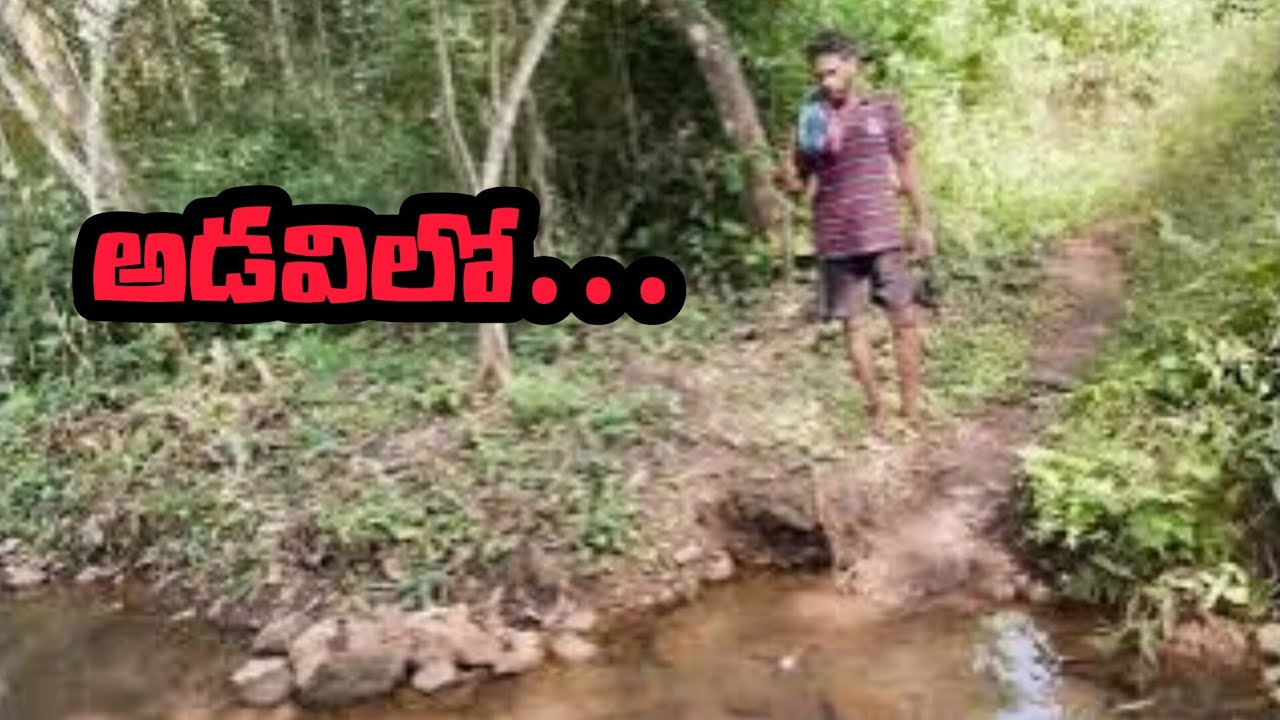 VILLAGE IN DEEP FOREST|MOST REMOTE VILLAGE|TRIBAL LIFE|VIRAL VLOG|UNSEEN JUNGLE VILLAGE|