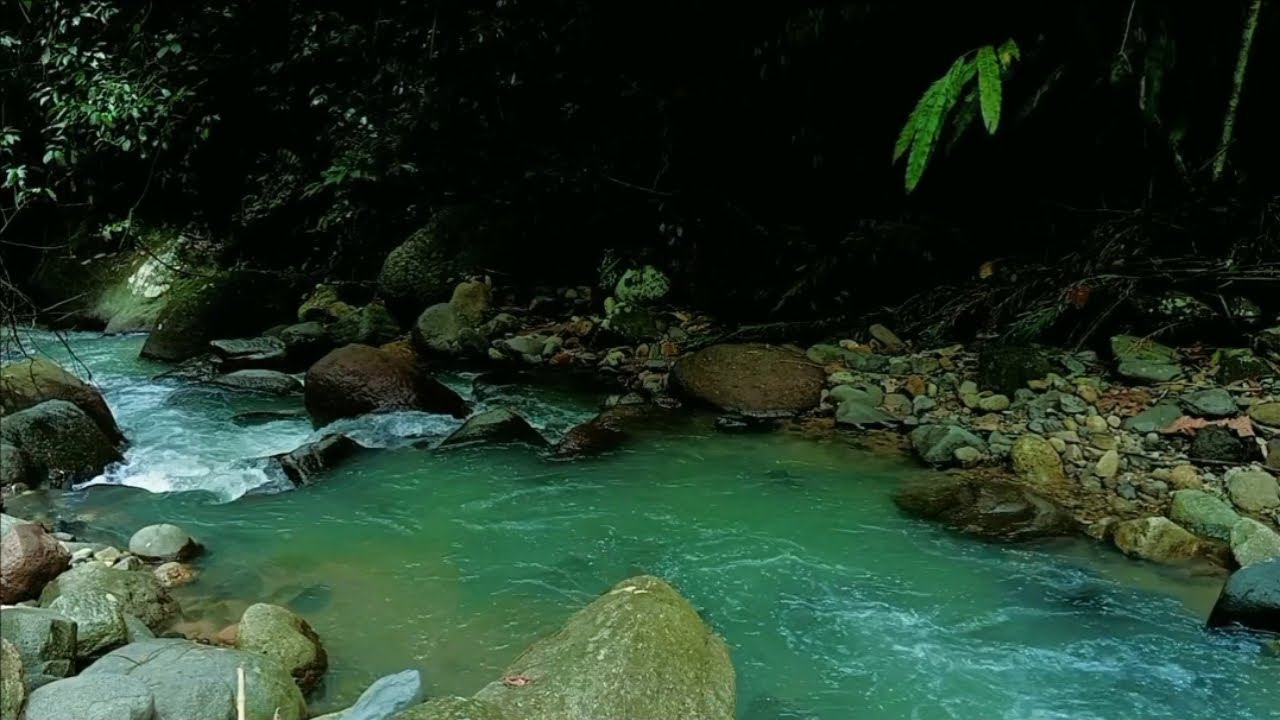 ASMR RIVER SOUNDS & BIRDSONG IN FOREST | RELAXING NATURE SOUNDS FOR SLEEP, STRESS RELIEF ,MEDITATION