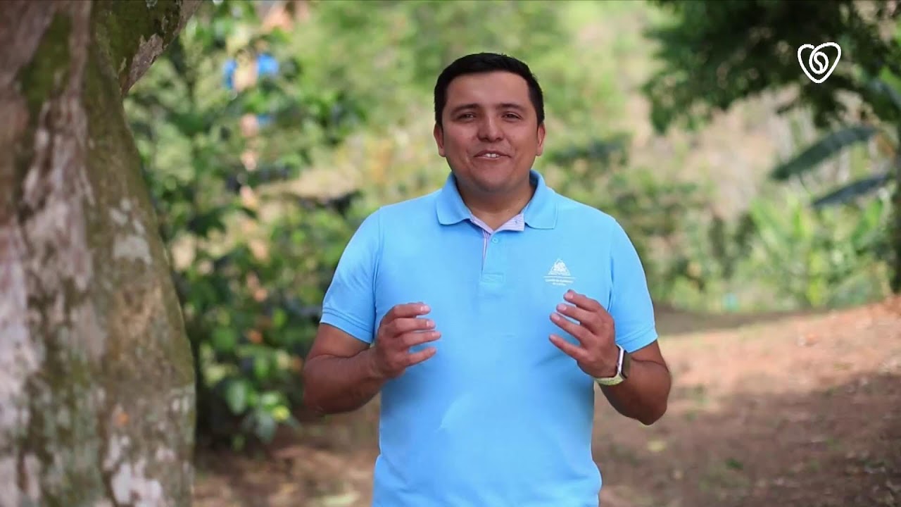 &iexcl;Ya estamos en vivo en Telecaf&eacute; Noticias!