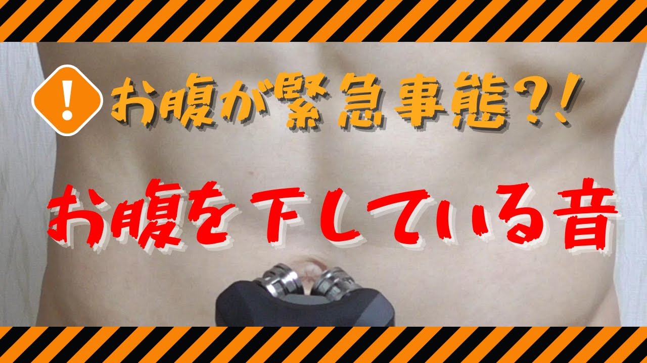 【お腹が緊急事態？！】お腹を下している音｜Peristaltic sound when upset stomach