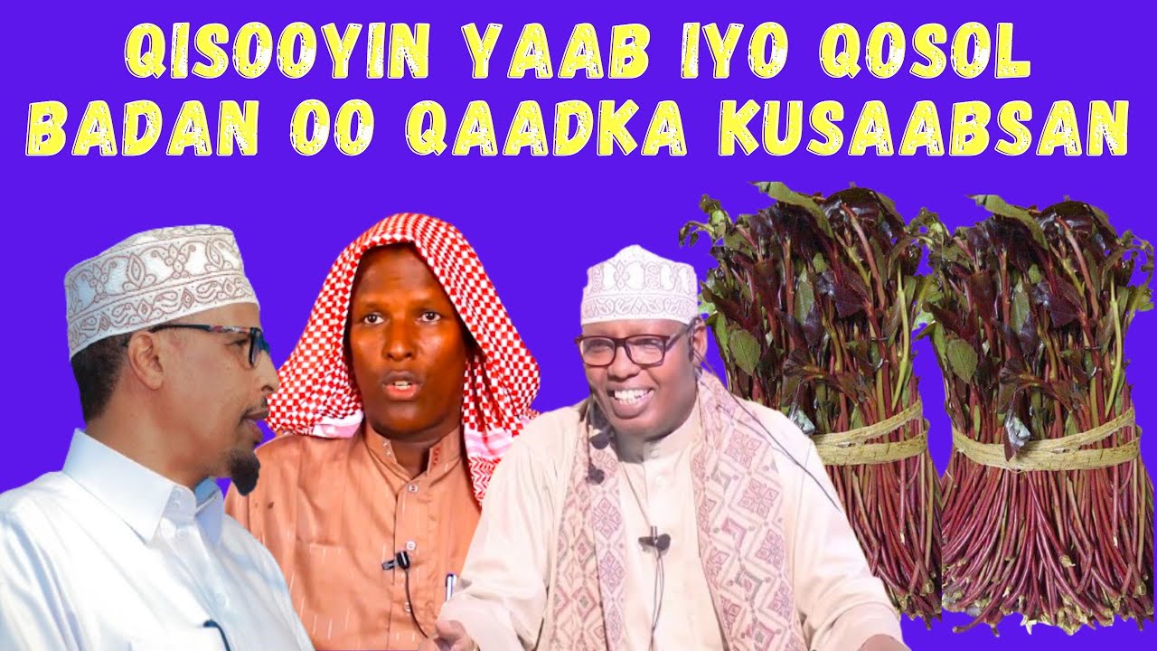Qisooyin Yaab iyo Qosol Badan Oo Qaadka Kusaabsan