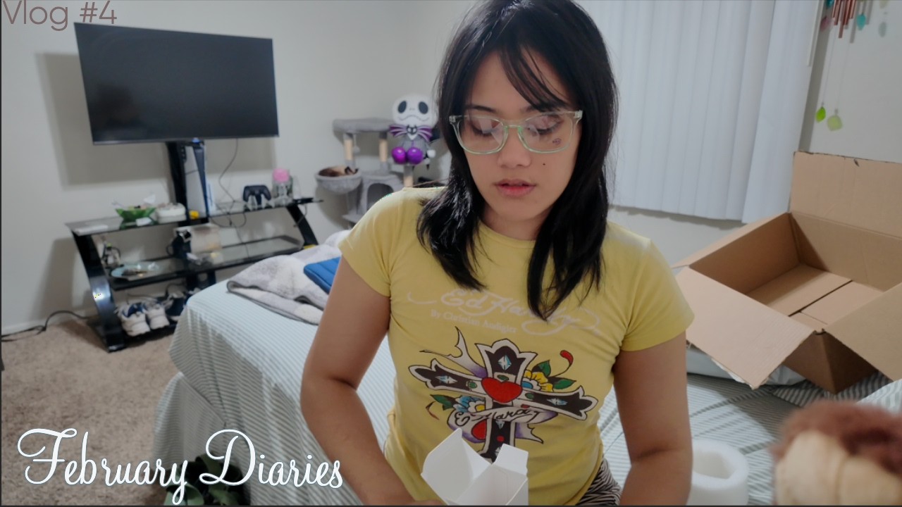 feb. ⋆chill slow day, random hauls, day in the life