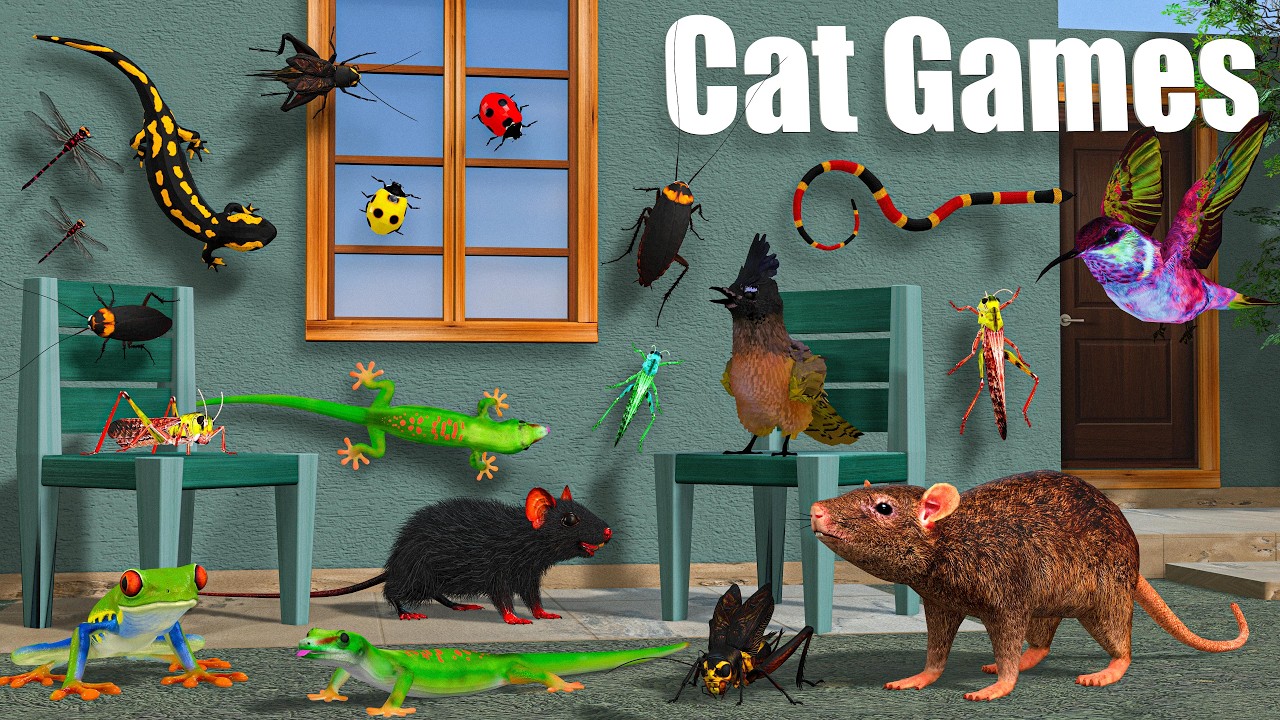 Cat TV | Cat Videos for Cats to Watch 🐱 Fast Moving Lizard, 🐭 Mouse & Bugs | Cat Games Compilation