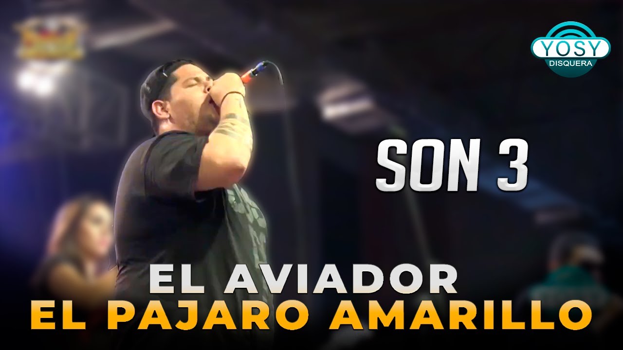 El Aviador, El Pajaro amarillo - Son 3