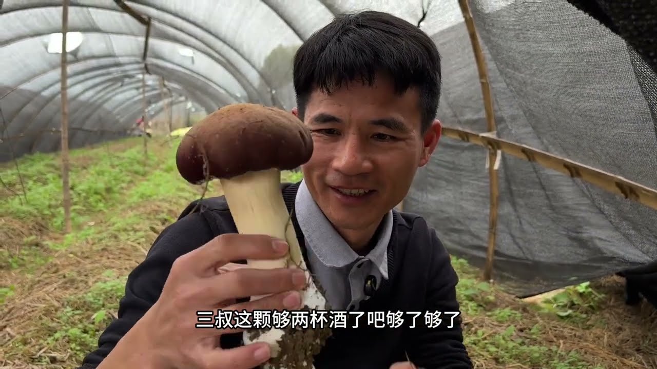 如果流量有价值，我希望用在助农上，帮乡亲把赤松茸卖出去#助力乡村振兴