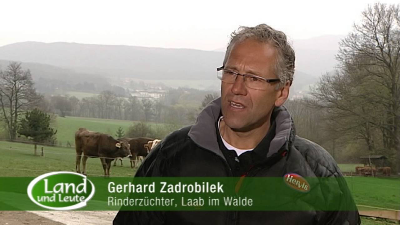 Kobe Rinderzucht