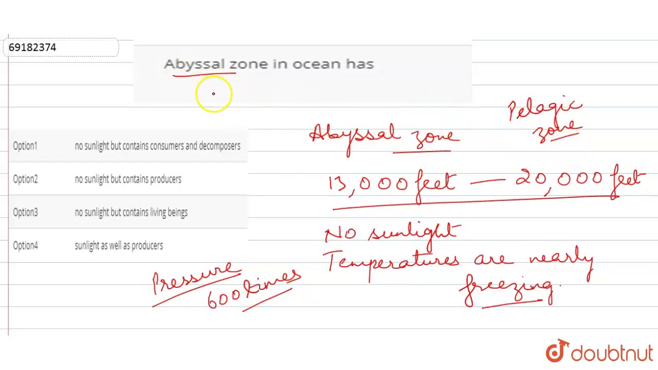 Abyssal zone in ocean has