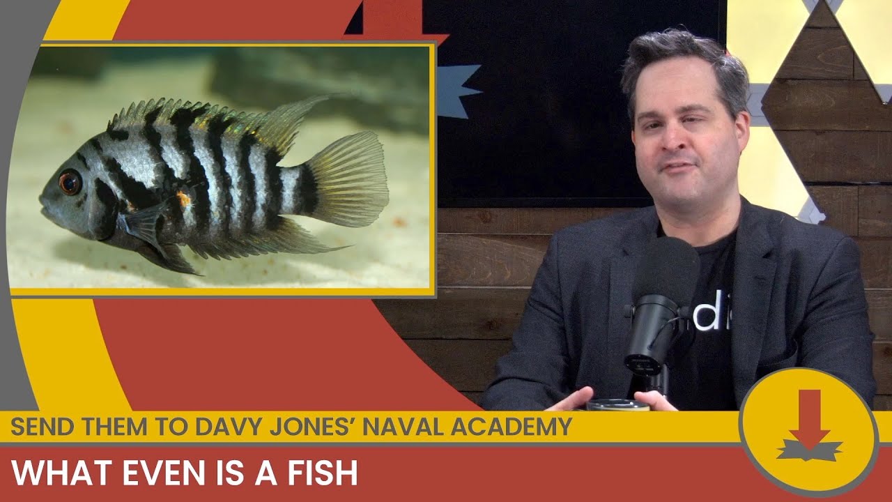 Seems Fishy || CheckPoint 496