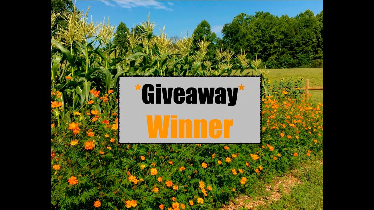 Apron & Seed Giveaway Winners~