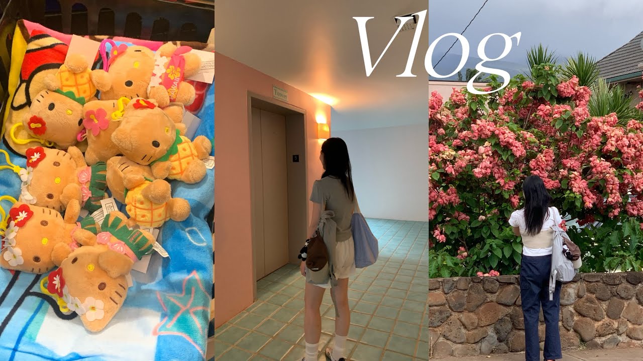 Hawaii vlog. Maui vlog. 🌺🌺🌺🌺하와이 마우이 브이로그 [마우이 맛집만 다니는 ,, 미스아레파,파피스오하나,할레아칼라,호오키파비치,훌라그릴,태닝키티••••••]