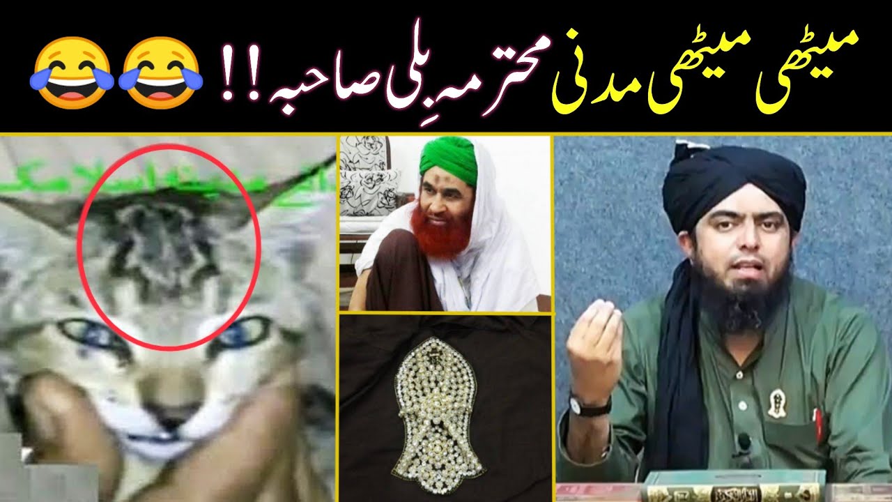 Molana ilyas Qadri sahib ki Meethi Meethi Madni Billi Sahiba