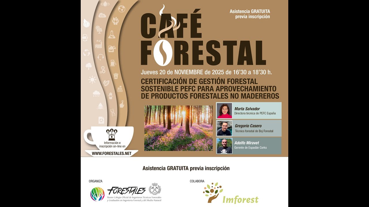 CAFÉ FORESTAL