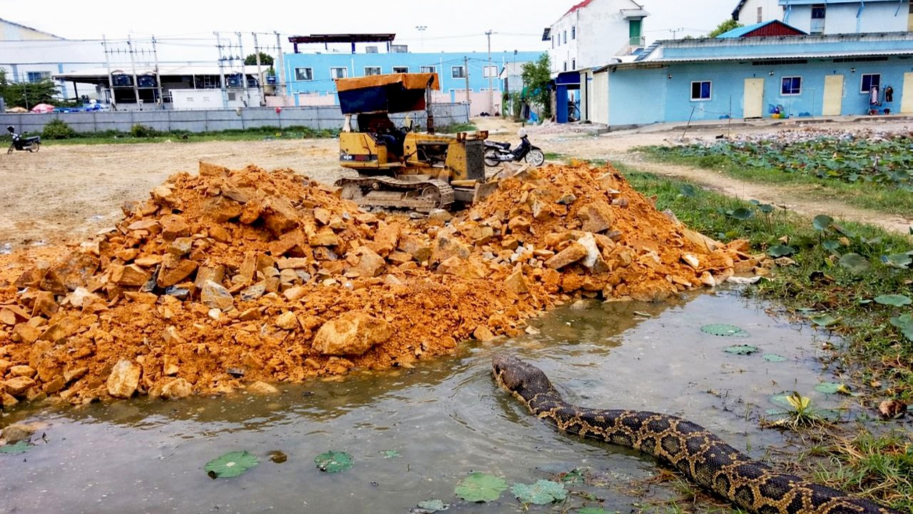 Amazing Pushing Stone Deleted Pond Completed By Operator Skill Bulldozer Komatsu - Action Dump Truck