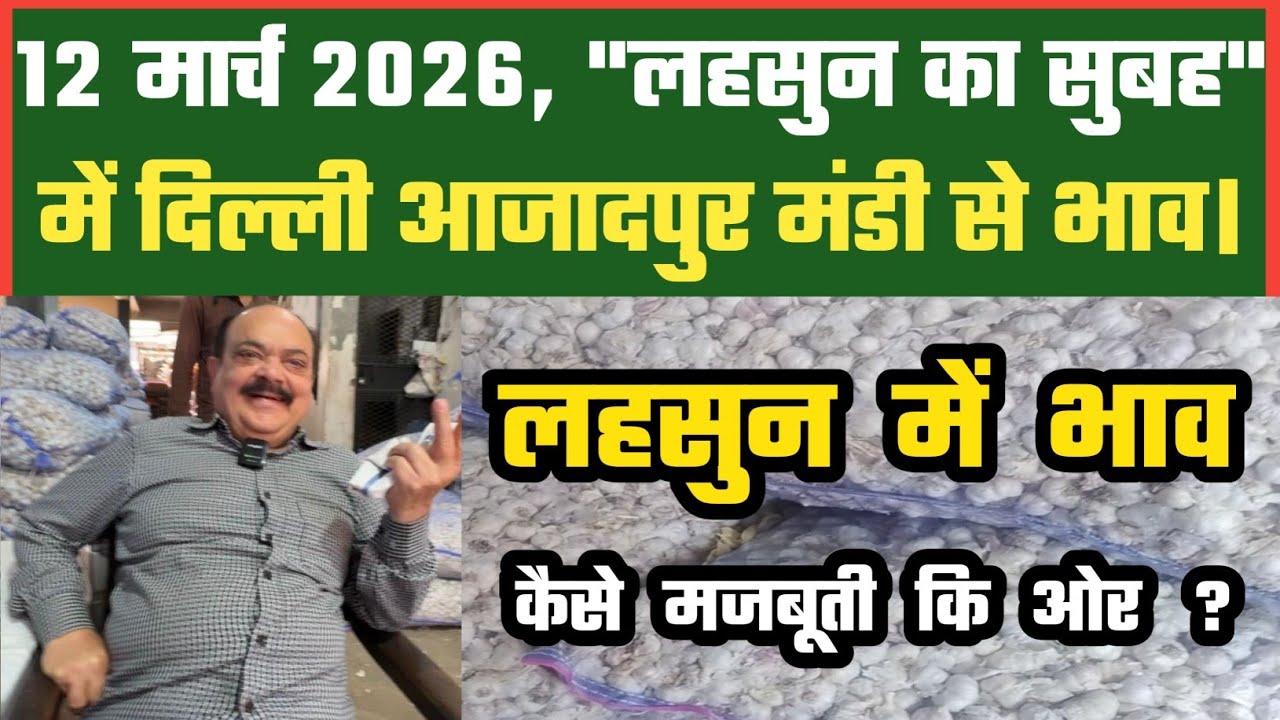 लहसुन के बाज़ार क्या होंगे मजबूत Azadpur Delhi Mandi Today 12-03-2026 को बने ऐसे Garlic Price DMT TV