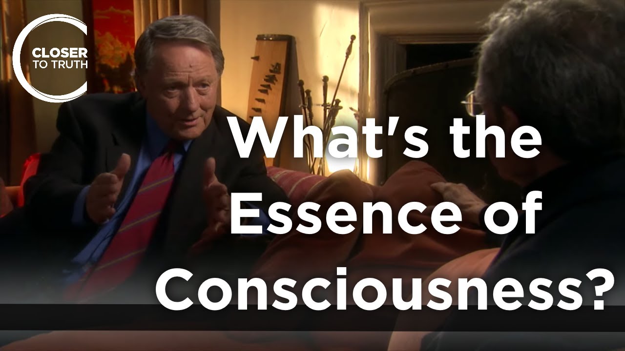 Henry Stapp - What's the Essence of Consciousness?