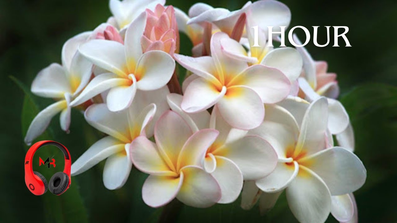 Peaceful & Inspiring Piano Music to draw, relax & study to Relaxing spa massage meditation