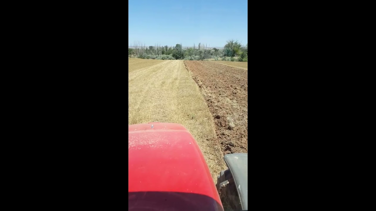 Massey ferguson 5435 matris goble 24lü anız bozumu