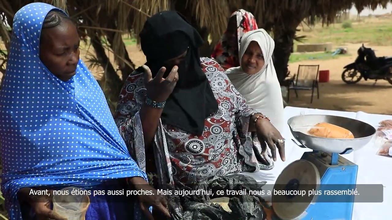 🇲🇱 MALI - Fin du projet d'appui au développement économique local et à la prévention des conflits