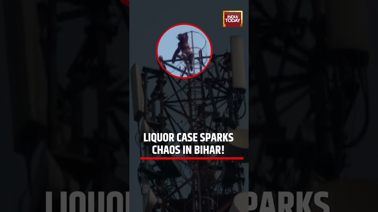 Viral Video | Bihar: Woman Climbs Tower In Motihari Over Liquor Case Arrest #bihar #viralvideo
