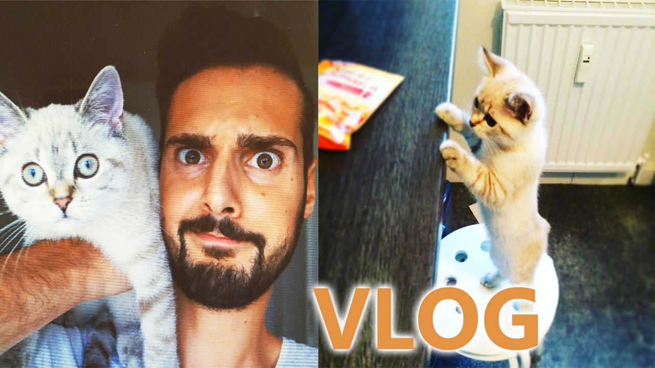 SAMIRA UND IHRE LECKERLIS! SIE WILL NUR FRESSEN! DAS KLEINE BIEST! Spiel mit mir